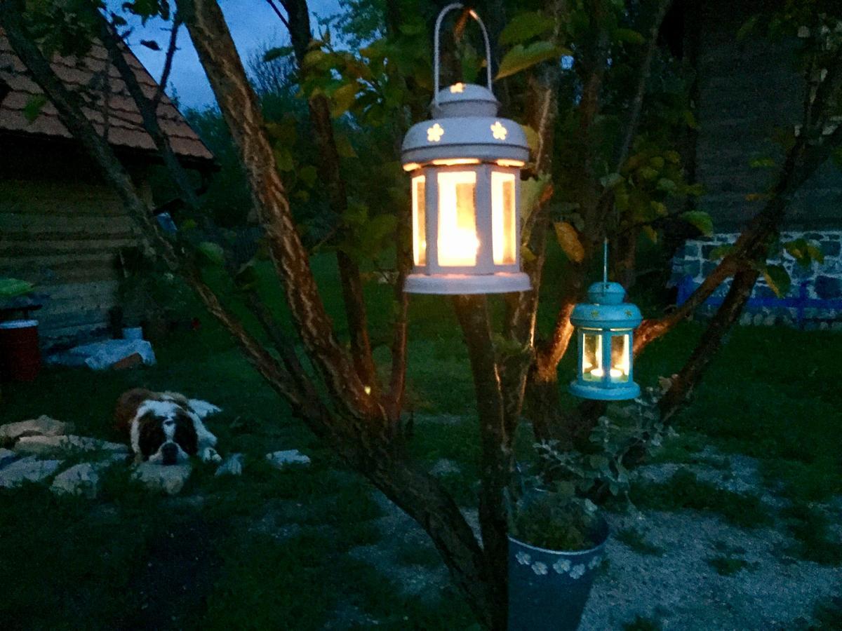 Brvnare Mrkic Villa Kremna Buitenkant foto